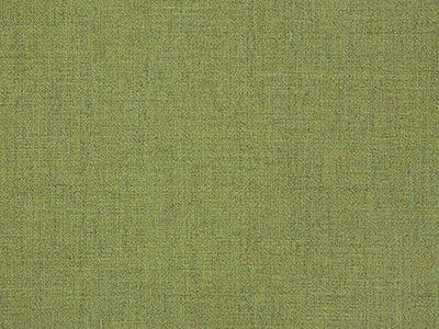 Cast Moss - Sunbrella - Cushion.com
